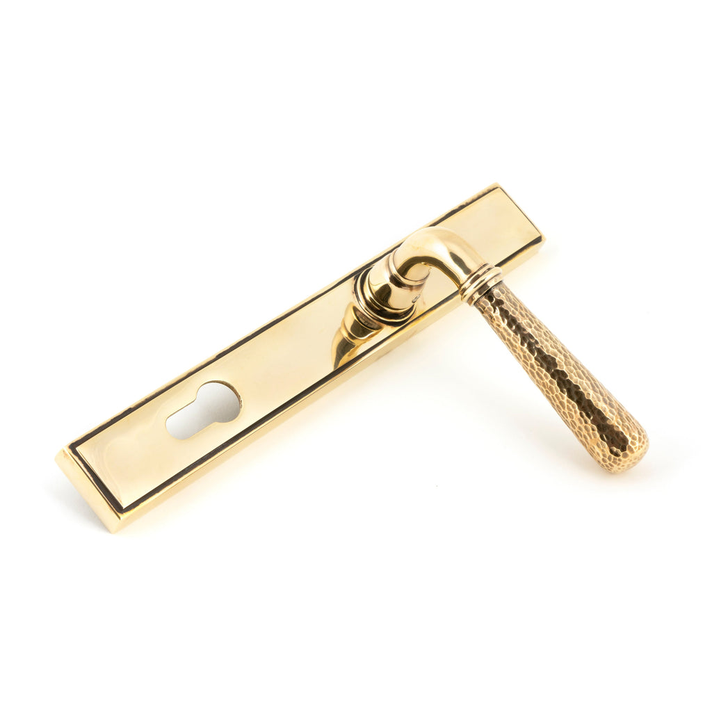 Aged Brass Hammered Newbury Slimline Espag. Lock Set | From The Anvil-Espagnolette-Yester Home