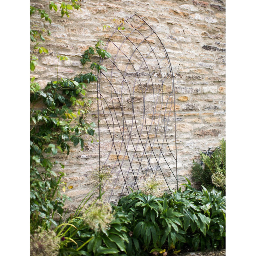 Barrington Arch Trellis-Plant Supports & Obelisks-Yester Home