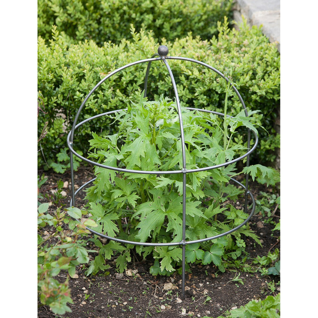 Barrington Domed Plant Support | Large - Plant Supports & Obelisks - Garden Trading - Yester Home