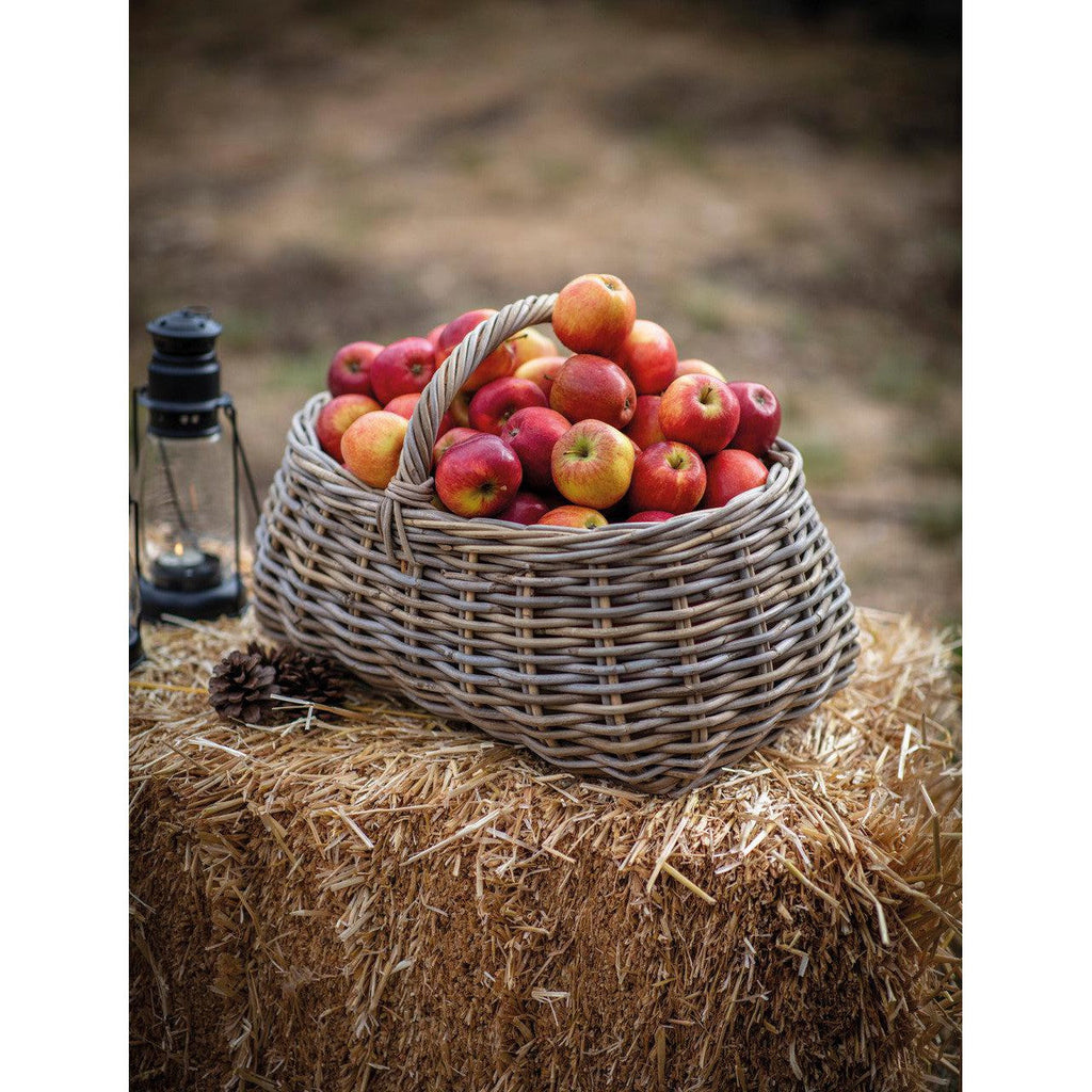 Bembridge Foreage Basket | Natural PRE-ORDER Stock expected Late July - Baskets - Garden Trading - Yester Home