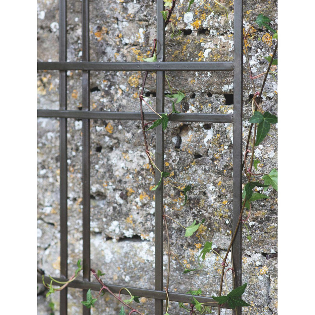 Charlbury Trellis | 60cm - Plant Supports & Obelisks - Garden Trading - Yester Home