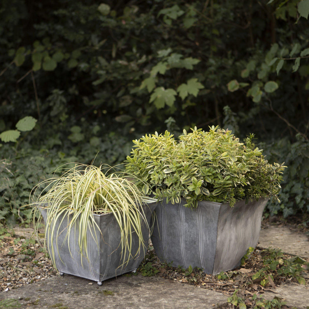 Regency Metal Planters-Planters-Yester Home