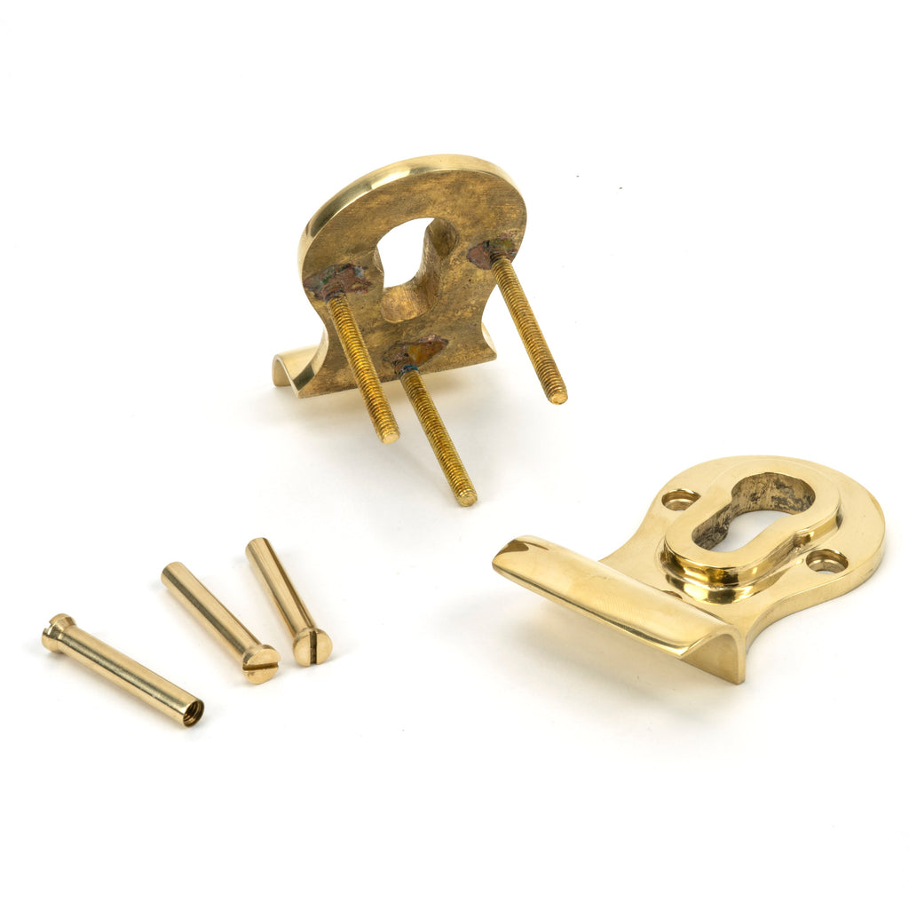 Polished Brass 50mm Euro Door Pull (Back to Back fixings) | From The Anvil-Euro Pulls-Yester Home