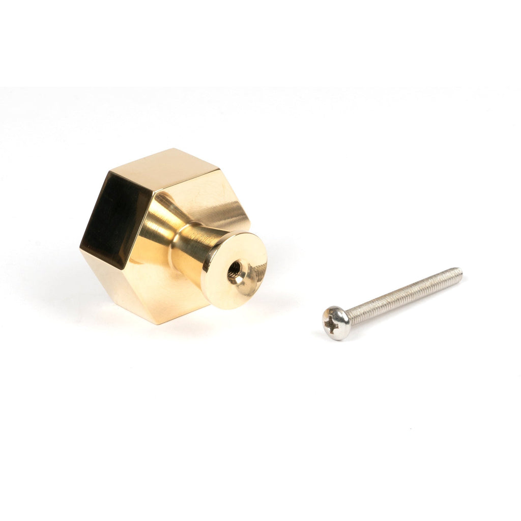 Polished Brass Kahlo Cabinet Knob - 38mm | From The Anvil-Cabinet Knobs-Yester Home