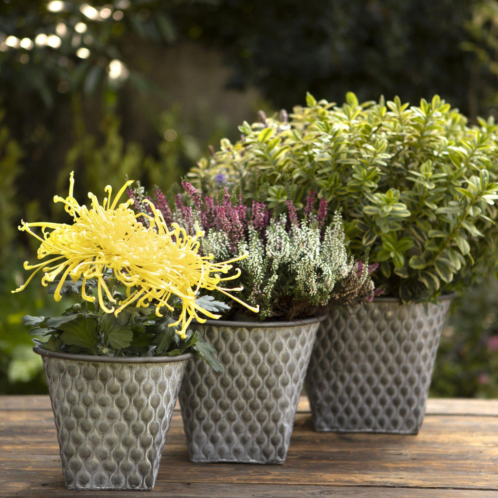 Set of 3 Embossed Metal Pots-Plant Pots-Yester Home